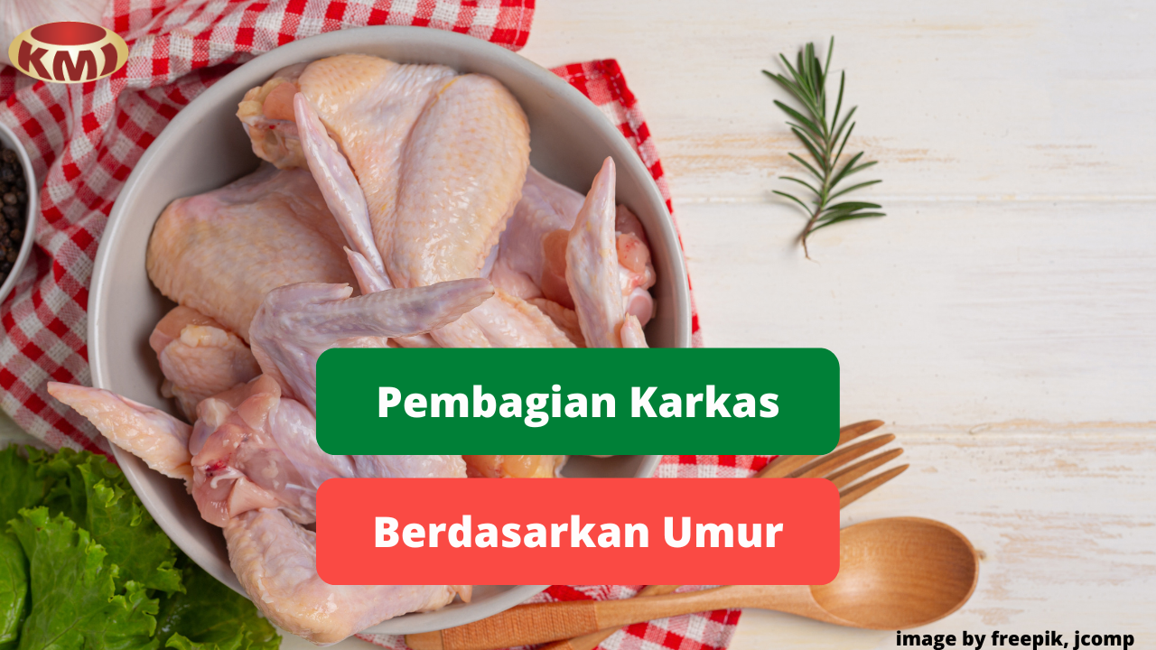 Berikut Ini Pembagian Karkas Daging Ayam Berdasarkan Umur